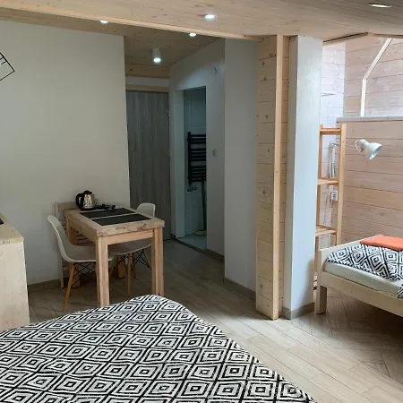 Apartament Z Wanna Z Hydromasazem Na Wylacznosc Lub Pokoje Z Prysznicem 2 Osobowe I 4 Osobowe Zakopane Noclegi منزل للإقامة