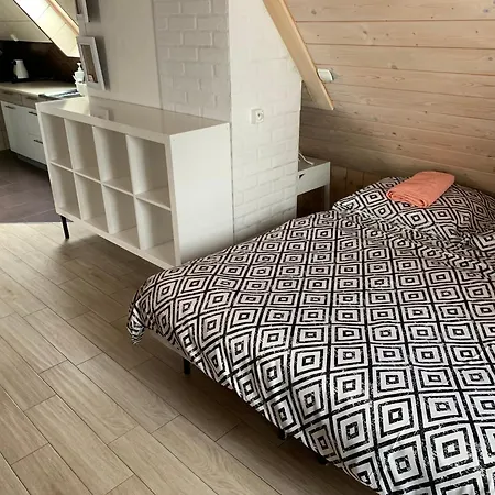 Pansiyon Noclegi Zakopane *