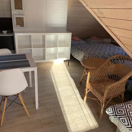 Apartament Z Wanna Z Hydromasazem Na Wylacznosc Lub Pokoje Z Prysznicem 2 Osobowe I 4 Osobowe Zakopane Noclegi *