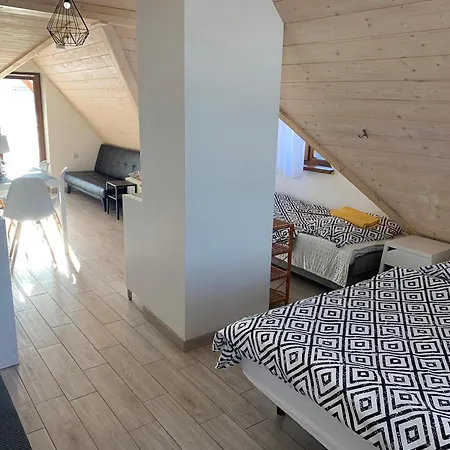 Apartament Z Wanna Z Hydromasazem Na Wylacznosc Lub Pokoje Z Prysznicem 2 Osobowe I 4 Osobowe Zakopane Noclegi * زاكوباني