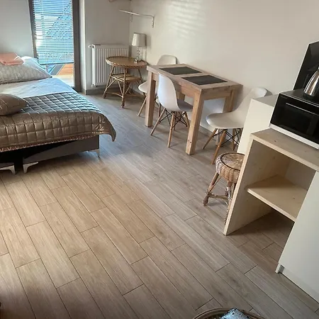 Apartament Z Wanna Z Hydromasazem Na Wylacznosc Lub Pokoje Z Prysznicem 2 Osobowe I 4 Osobowe Zakopane Noclegi * زاكوباني