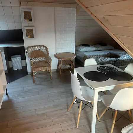 Apartament Z Wanna Z Hydromasazem Na Wylacznosc Lub Pokoje Z Prysznicem 2 Osobowe I 4 Osobowe Zakopane Noclegi *