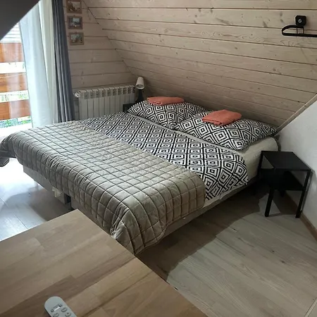 Apartament Z Wanna Z Hydromasazem Na Wylacznosc Lub Pokoje Z Prysznicem 2 Osobowe I 4 Osobowe Zakopane Noclegi زاكوباني