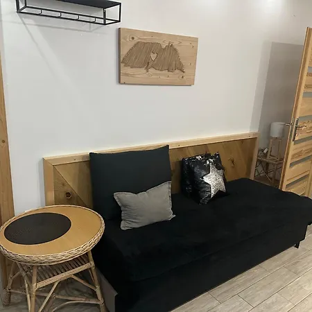 Apartament Z Wanna Z Hydromasazem Na Wylacznosc Lub Pokoje Z Prysznicem 2 Osobowe I 4 Osobowe Zakopane Noclegi منزل للإقامة