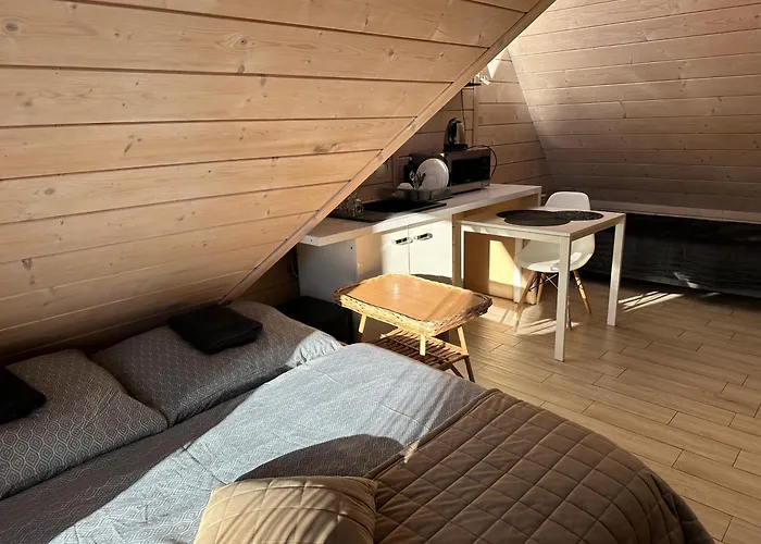 Z Prysznicem 2 3 4 Osobowe Z Lazienka Lub Z Wanna Z Hydromasazem Na Wylacznosc Zakopane